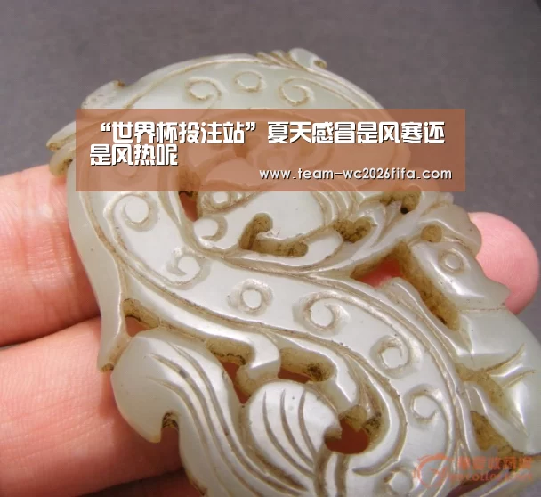 “世界杯投注站”夏天感冒是风寒还是风热呢(图1) 世界杯投注站